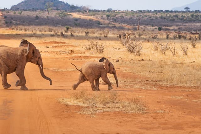 Imagen que contiene un lugar del continente África