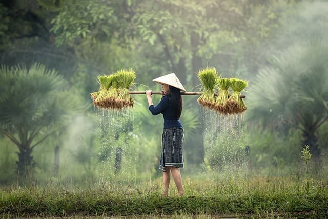 Imagen que contiene un lugar del continente Asia